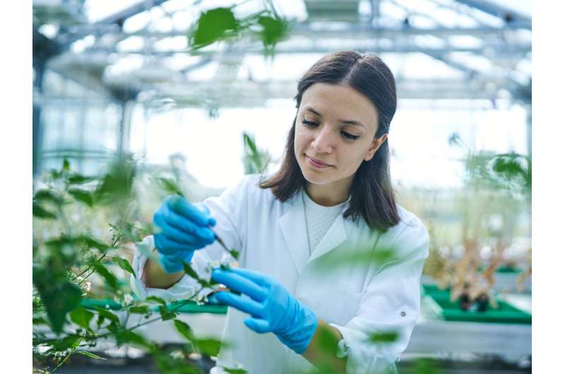 发现茄科植物防御类固醇生物合成的关键蛋白
